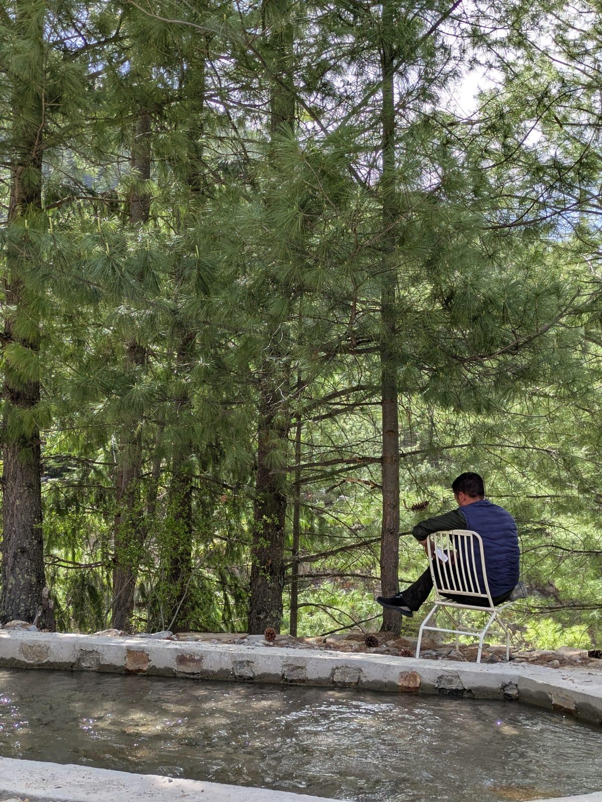 Shepherd’s Lore x Solis Nature