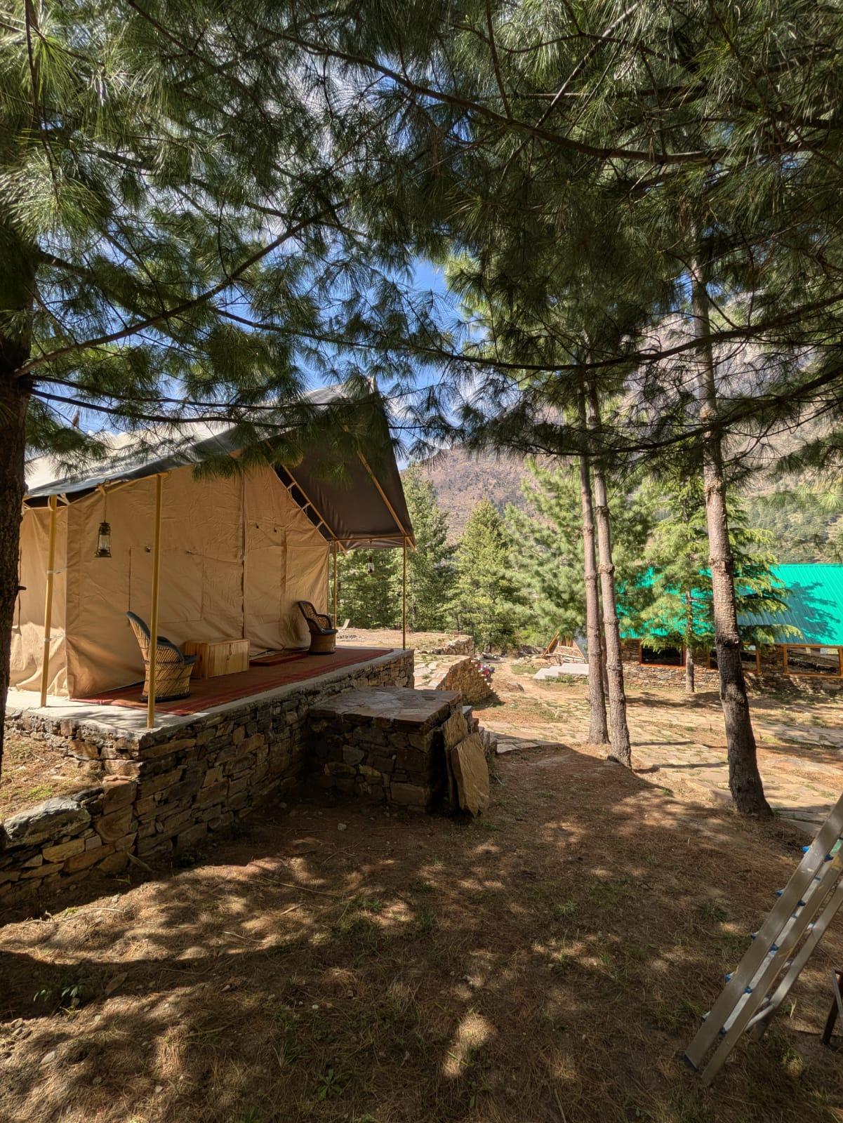 Shepherd’s Lore x Solis Nature