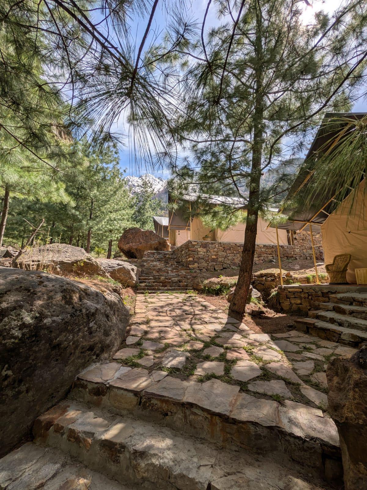 Shepherd’s Lore x Solis Nature