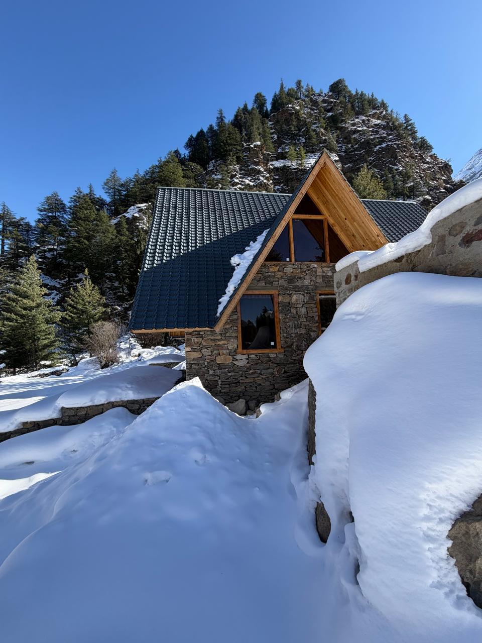 Shepherd’s Lore x Solis Nature