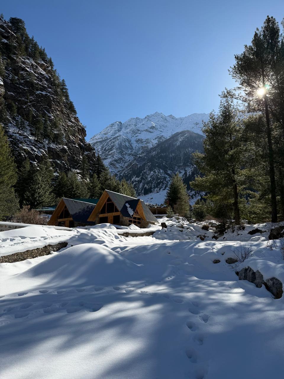 Shepherd’s Lore x Solis Nature