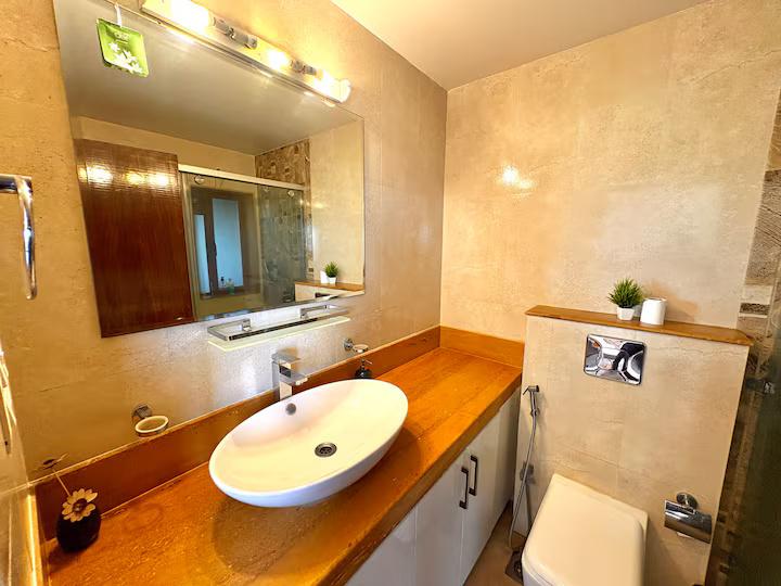 Anantam - C401 x Solis Nature