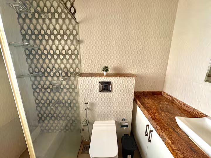 Anantam - C401 x Solis Nature