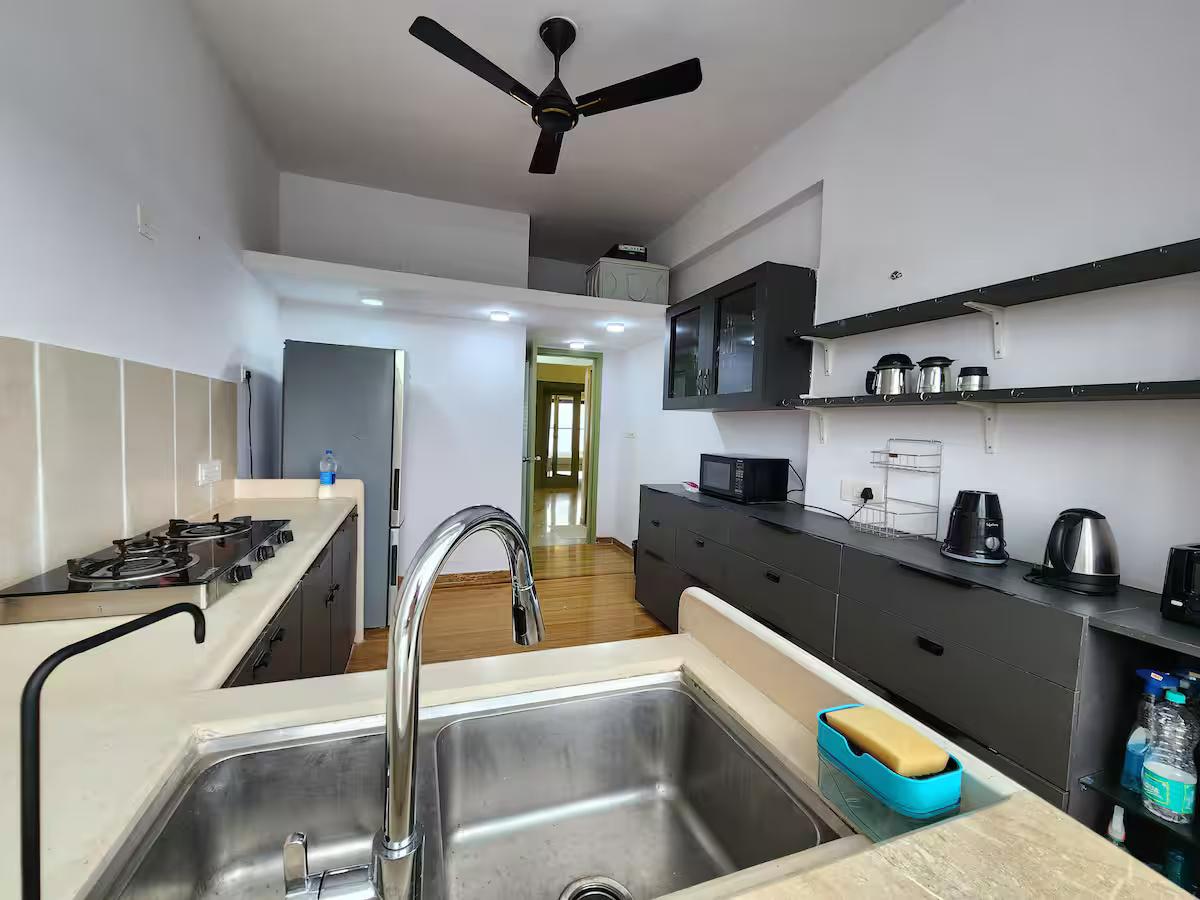 Anantam P1 A301 x Solis Nature