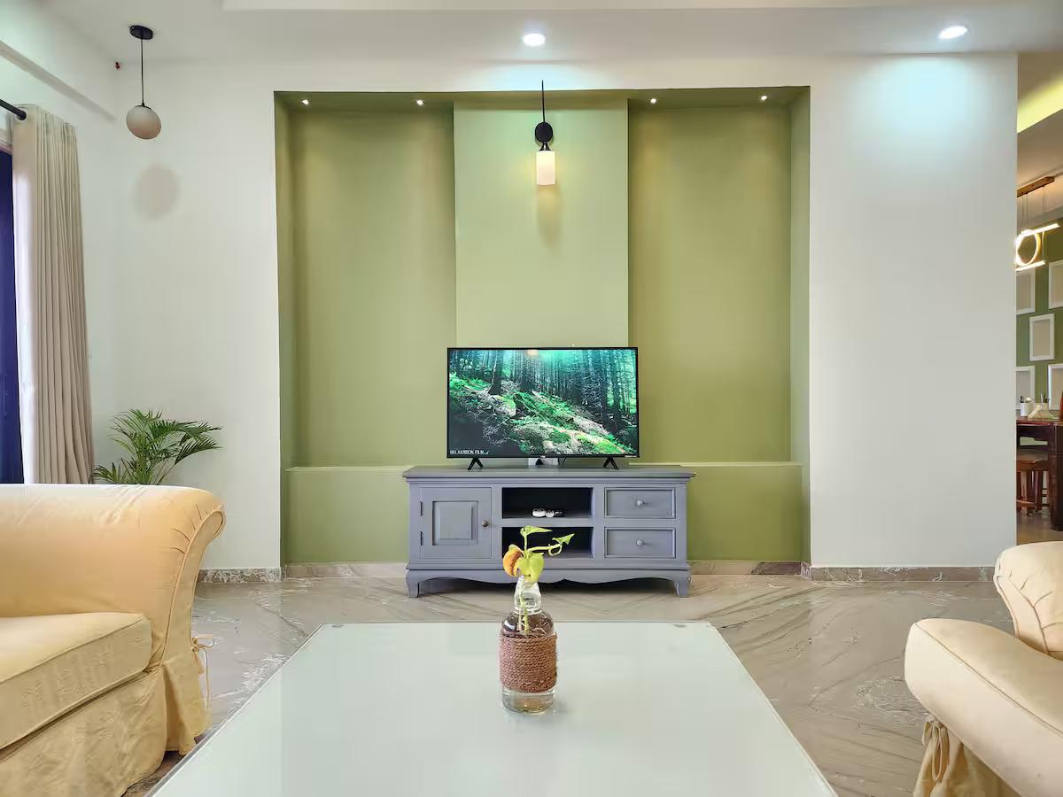 Anantam P1 A301 x Solis Nature