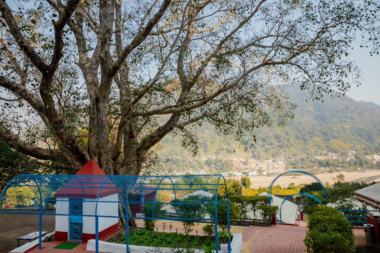 Ecoterra Serene Resort - Luxury Camping in Rishikesh x Solis Nature