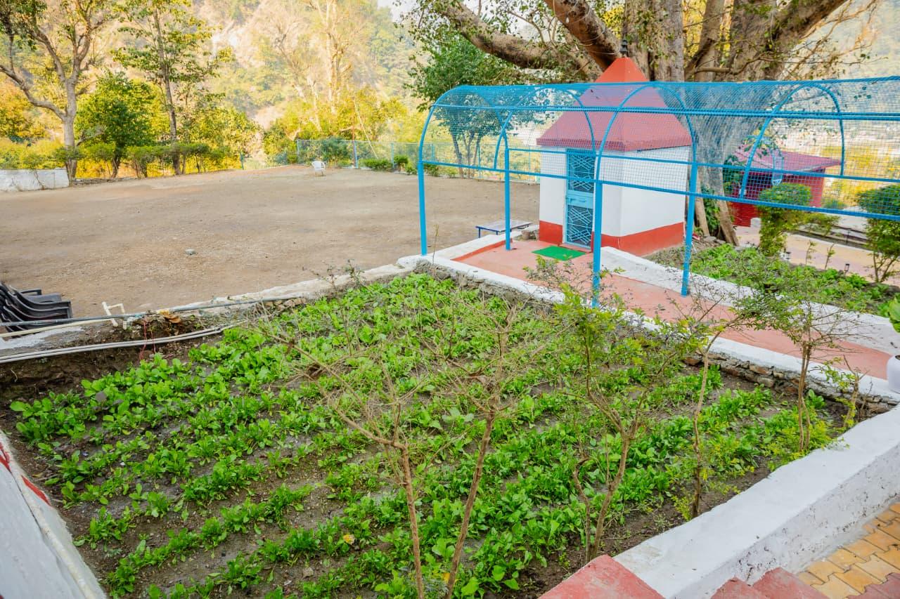 Ecoterra Serene Resort - Luxury Camping in Rishikesh x Solis Nature