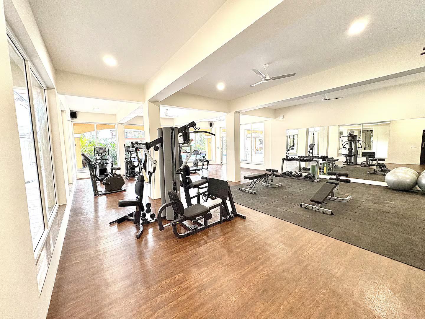 Bosque B114 x Solis Nature