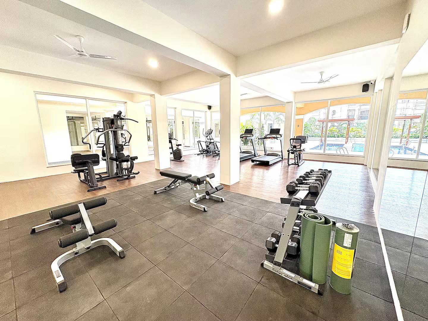 Bosque B216 x Solis Nature