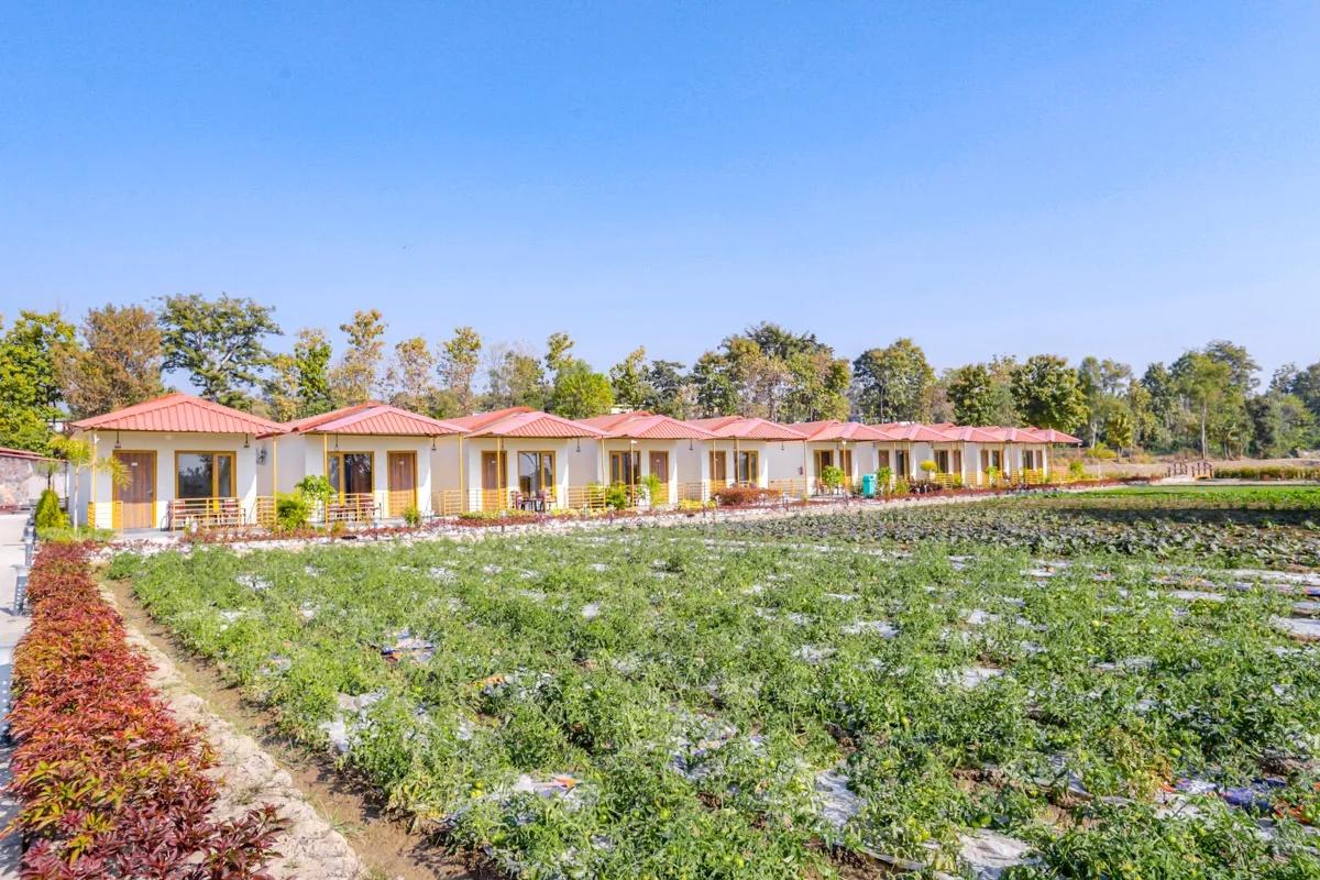 Corbett Tranquil Tigers Resort x Solis Nature