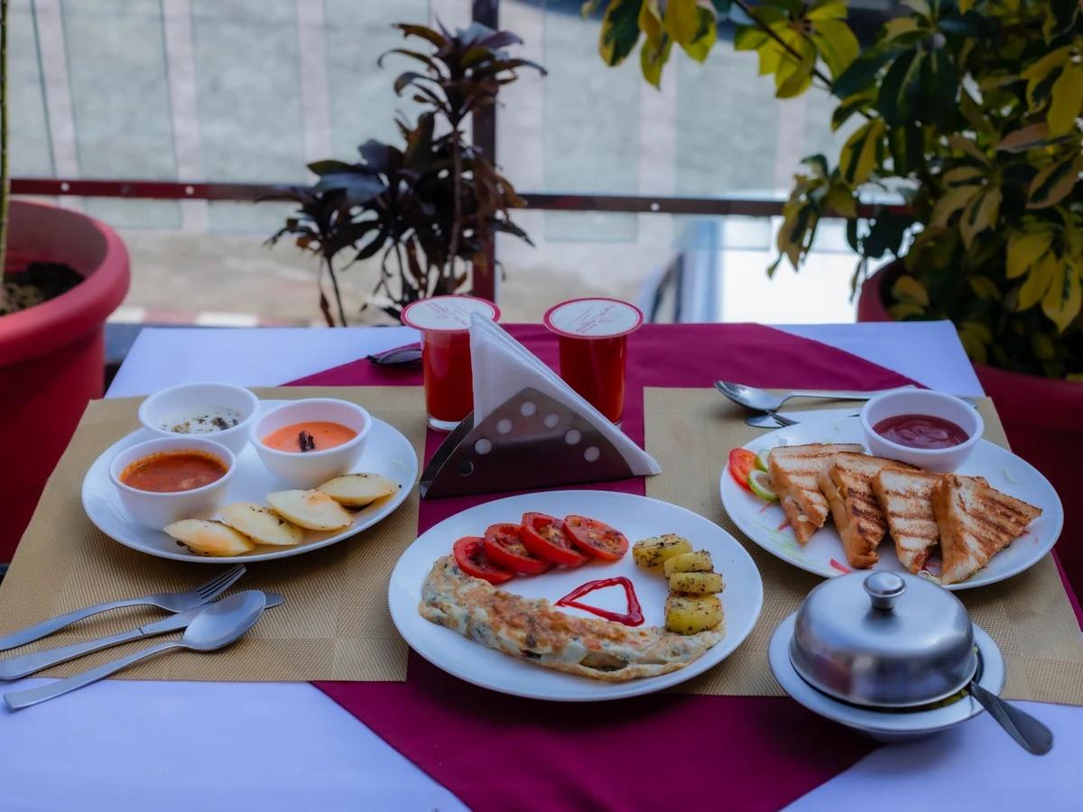 The Tal Paradise x Solis Nature