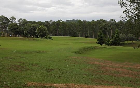 Shivani Foods And Resort, Ranikhet x Solis Nature