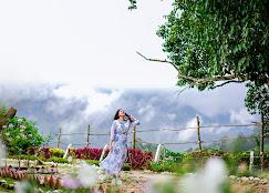 Mowbray House Resort Ooty by VOYE HOMES x Solis Nature