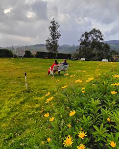 AJ Gable Clouds Resort Ooty by VOYE HOMES x Solis Nature