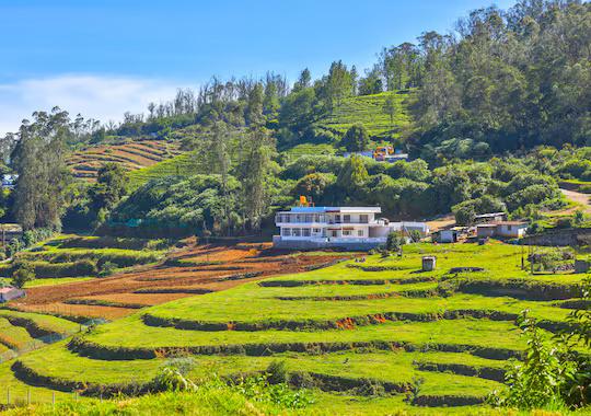 The Silent Retreat Ooty by VOYE HOMES x Solis Nature